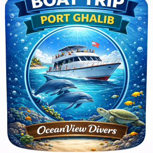 Bootstrip von Port Ghalib